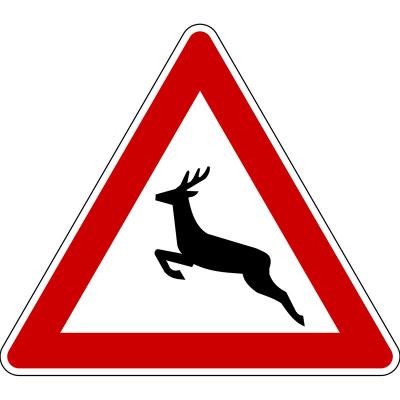 Vorsicht: Frühlingszeit ist Wildwechselzeit!